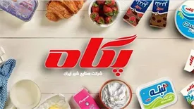 پنیرکرهای پگاه؛ خرید دو محصول با یک خرید