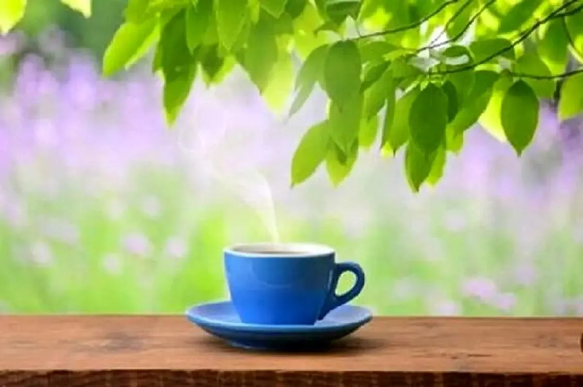 تغذیه مناسب برای کاهش استرس