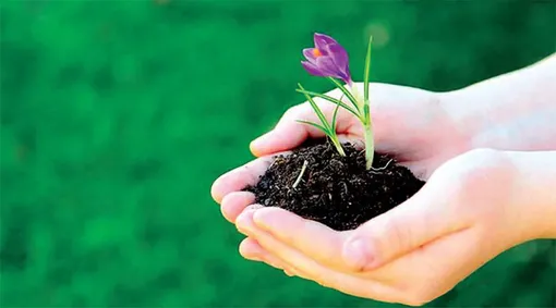 اهمیت صداقت در زندگی