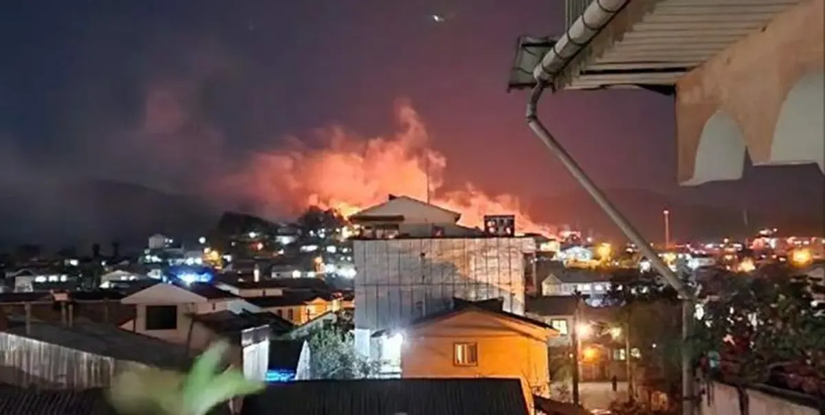 یک ونیم هکتار جنگل های گیلان سوخت!