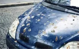 خسارت‌های بارش باران اسیدی؛ پوسته شدن رنگ خودروها