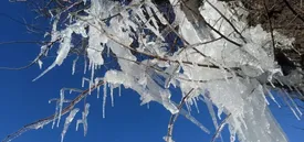 هشدار وقوع یخبندان در برخی مناطق این استان