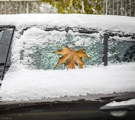 برف پاییزی باریدن خواهد گرفت