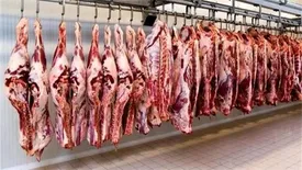 قصاب‌ها از جگر سوراخ شده دام‌ها بر اثر خشکسالی خبر می‌دهند/ ادامه کشتار دام‌های مولد به دلیل استقبال مردم