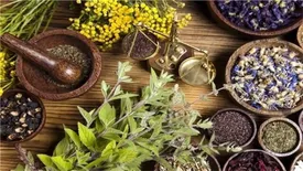 ۵ اصل مهم قبل از مصرف دارو‌های گیاهی