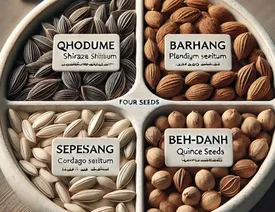 چهار تخمه/ درمانی طبیعی برای گلودرد و سرفه
