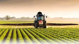 دولت گشایش راه صادرات پسته و زعفران را پیگیری می‌کند