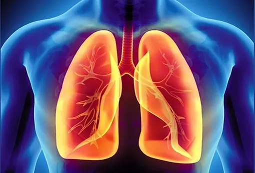 بهترین خوراکی‌ها برای پاکسازی «ریه»