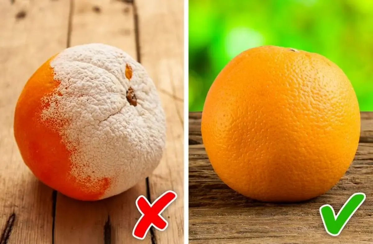 خوراکی کپک زده را  دور بیاندازیم یا فقط کپک را جدا کنیم؟