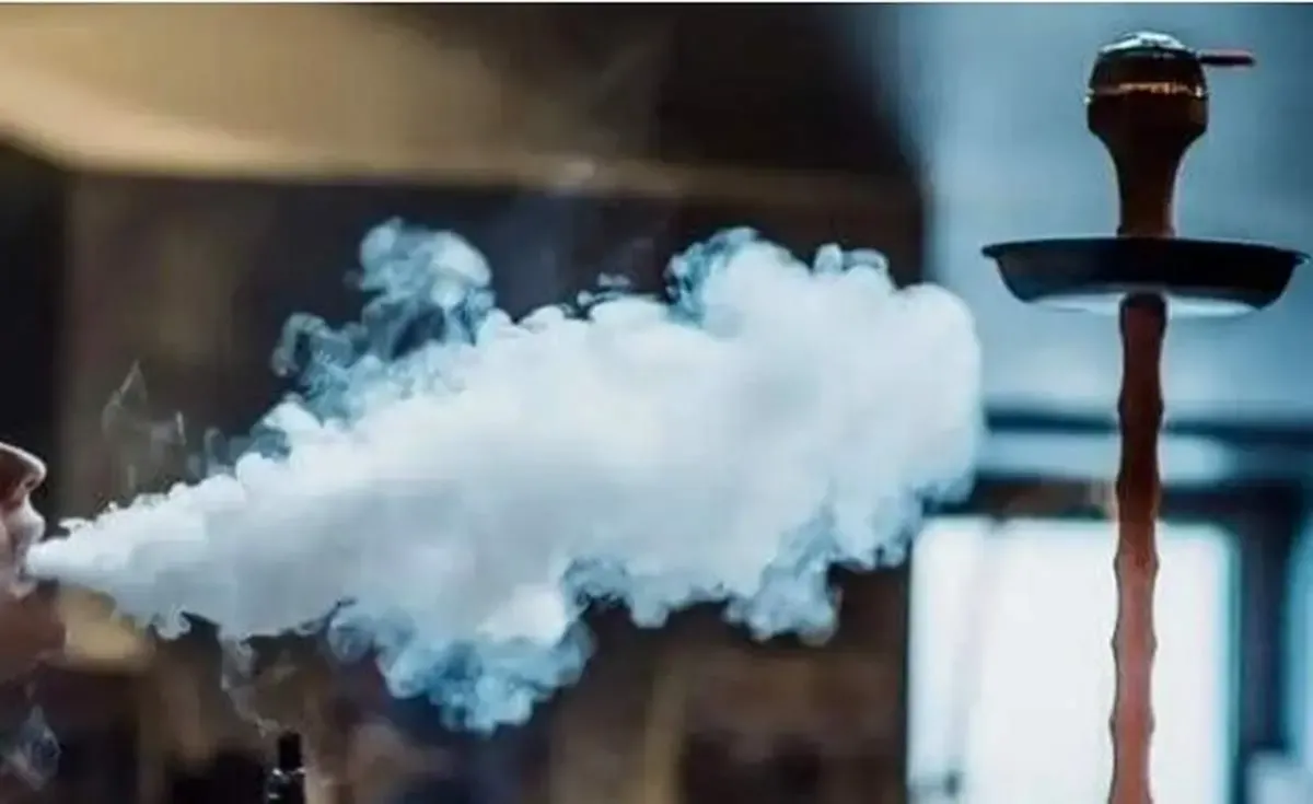 تفریح سالم؟