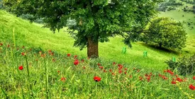 پیش‌بینی وضع هوای مازندران در ۹ روز آینده