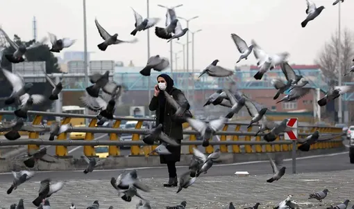 پرواز در شهر / عکس : امیر حسین جامه بزرگ