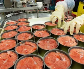 افزایش قیمت تن ماهی در راه است/ مردم آماده باشند