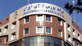 درخواست از استادان دانشگاه و اقتصاددانان برای کمک به سامان‌دهی بازار خودرو