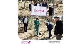 کاشت 55 نهال توسط بیمه نوین در روز درختکاری