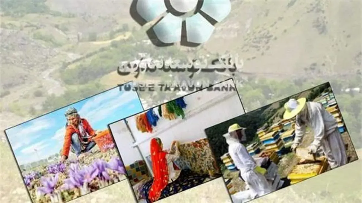تسهیلات بانک توسعه تعاون 54 هزار شغل پایدار ایجاد کرد