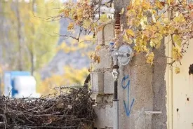 گاز رایگان و پاداش خوش‌مصرف ها!