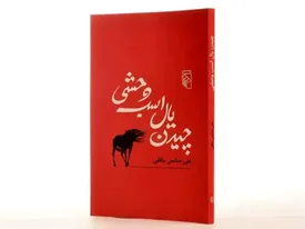 روایت‌های متفاوت همدلی