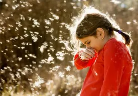 آلرژی پاییزی؛ علائم و درمان/ اینفوگرافیک