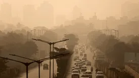 قحطی این ویتامین در شهرهای آلوده