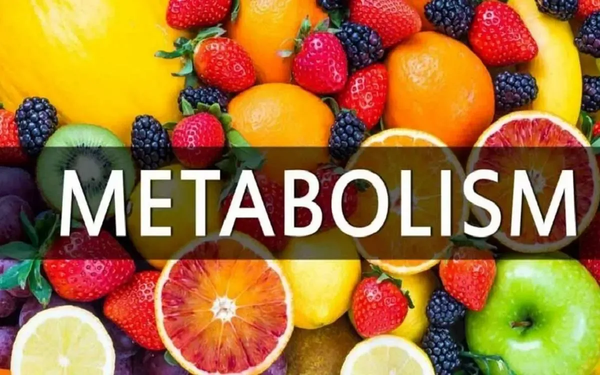 10 ماده غذایی که متابولیسم بدن را منفجر می‌کند