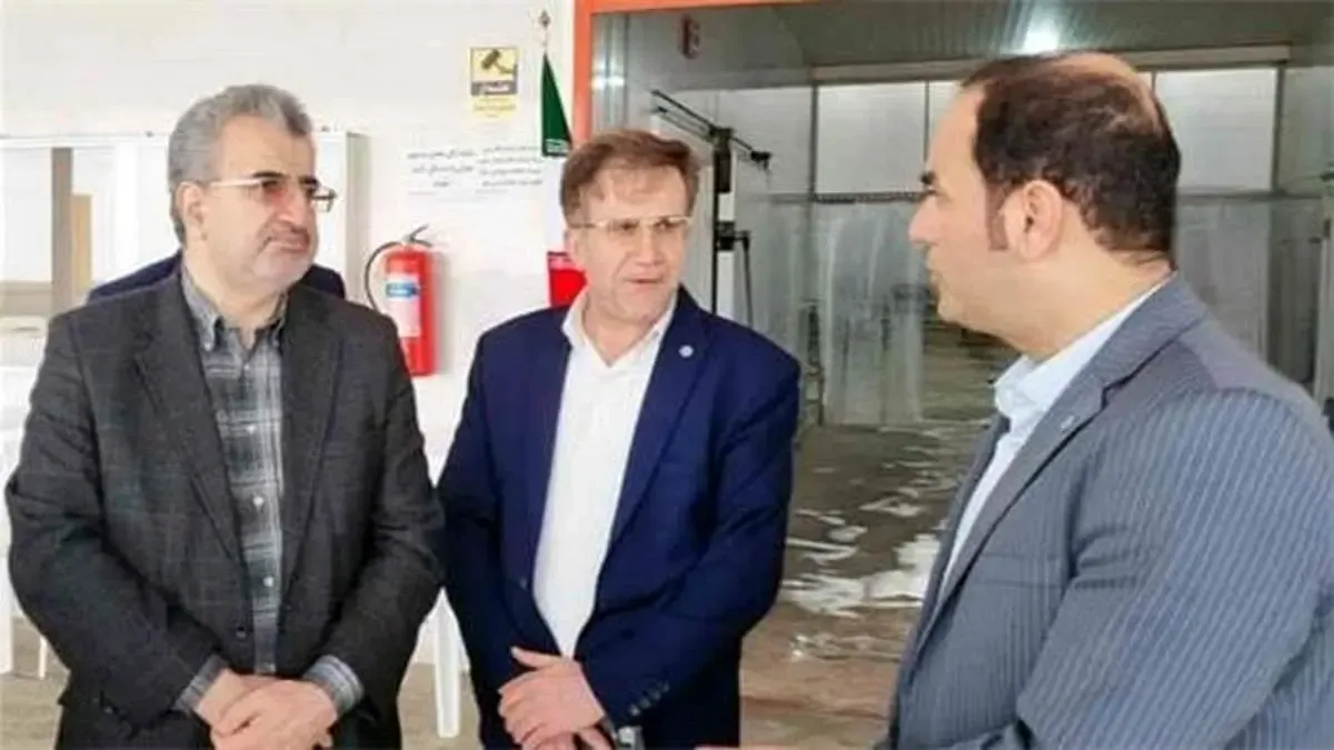 تامین مالی 403 میلیارد ریالی سه طرح شاخص استانی از سوی بانک توسعه تعاون در بوشهر