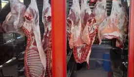لیست قیمت گوشت قرمز امروز ۵ اسفند ۱۴۰۴/ گوشت خورشتی کیلویی چند شد