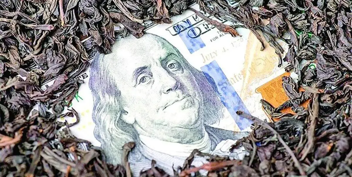 چای دبش بزرگترین صادر کننده قیر بود!