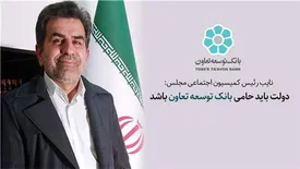 دولت باید حامی بانک توسعه تعاون باشد