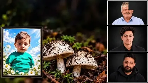 مرگ تلخ ۴ عضو یک خانواده سمنانی به خاطر خوردن قارچ سمی