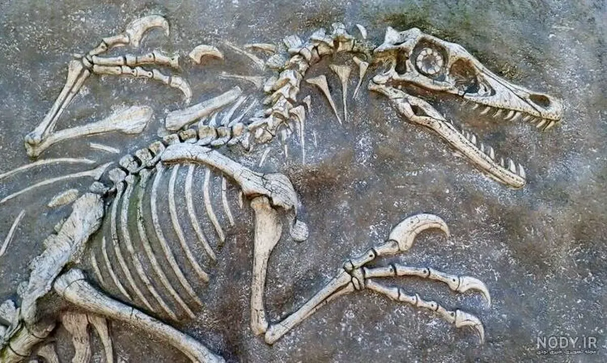 کدام مناطق ایران محل زندگی دایناسورها بوده است؟