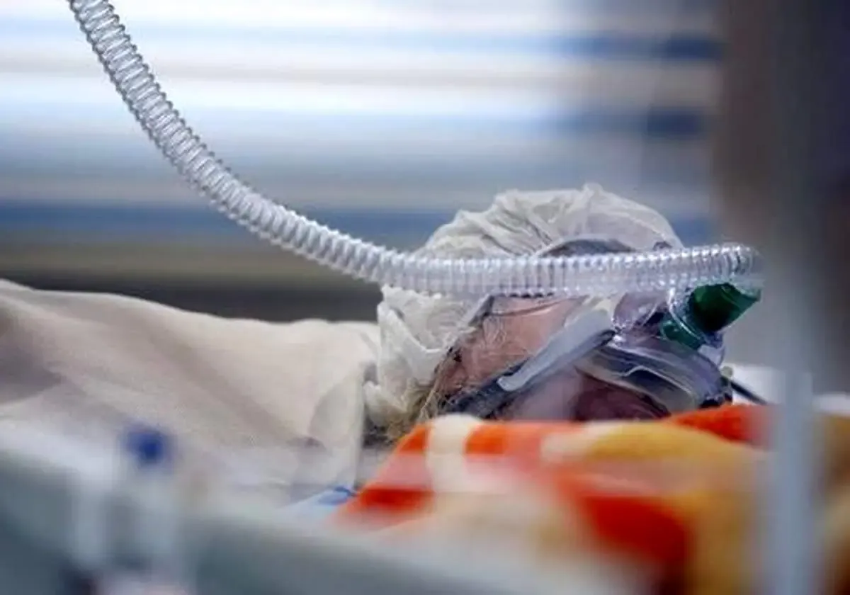 مسمومیت ۴۸ نفر با مصرف قارچ سمی