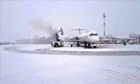 هواپیمای کوچک پس از فرود اضطراری با درخت و شیر آتشنشانی برخورد کرد/ویدیو