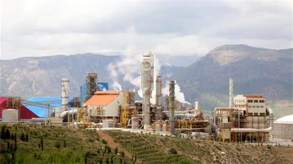 رشد1500درصدی فروش «شلرد» در سه ماهه نخست ۱۴۰۱