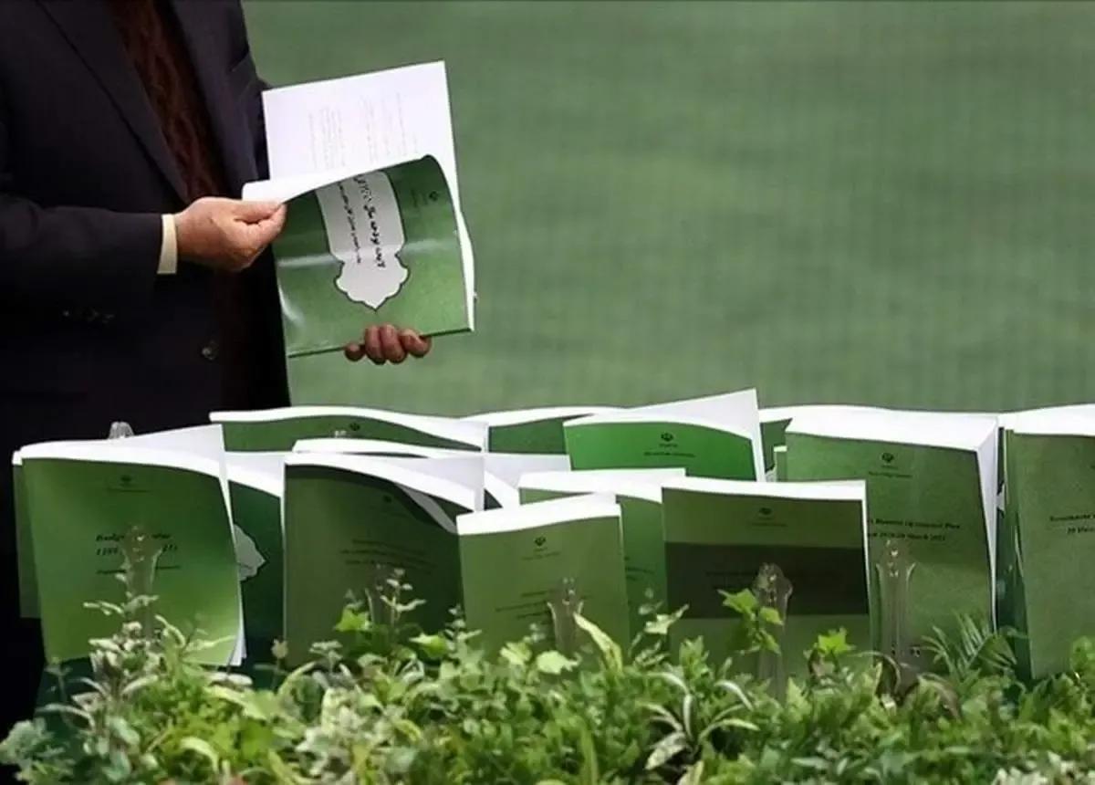 حذف بودجه نهادهای بی‌ثمر؛ گام بزرگ اصلاحات اقتصادی