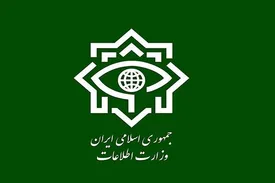 وزارت اطلاعات بیانیه جدید صادر کرد