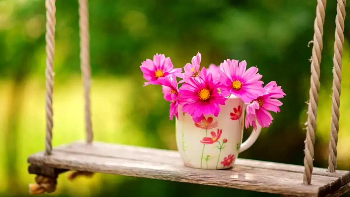 آرامش درون شماست