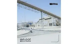 بومیسازی ساخت گندله در سنگان خراسان رضوی مانع خروج ۲۰ میلیون یورو ارز از کشور شد