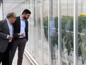 کلیه فعالیت های گلخانه ای در ارس از پرداخت عوارض ساخت و ساز معاف شدند