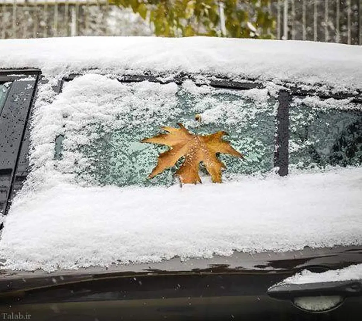 برف پاییزی باریدن خواهد گرفت