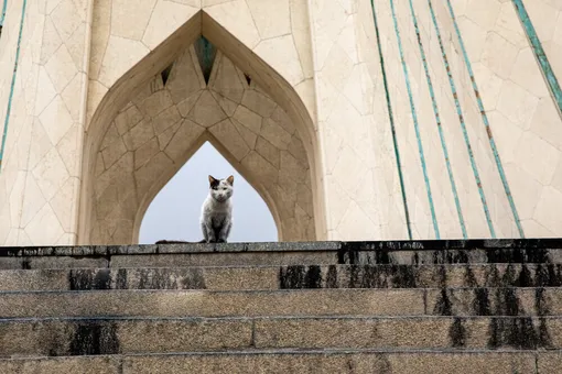 تصاویری از غبار انفجار بر تن تهران