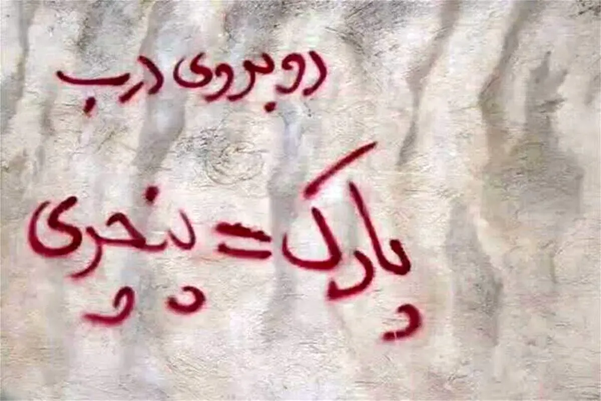 استفاده از عبارت «پارک مساوی پنچری» چه زمانی جرم است؟