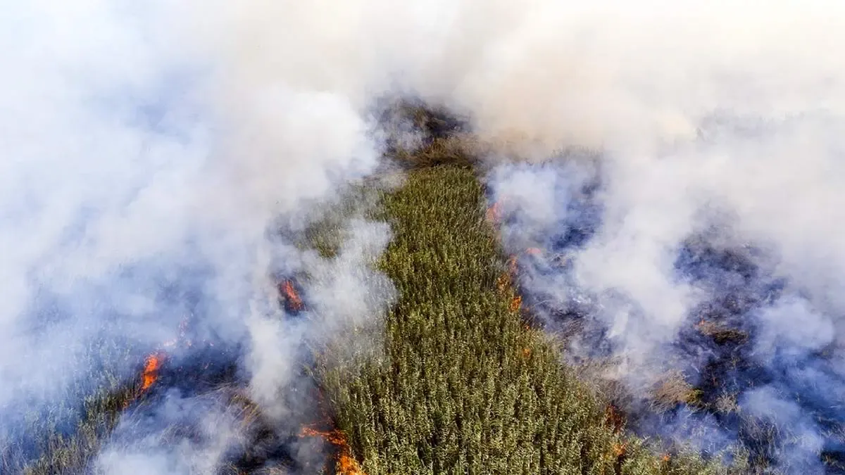 هوای هویزه گرفت