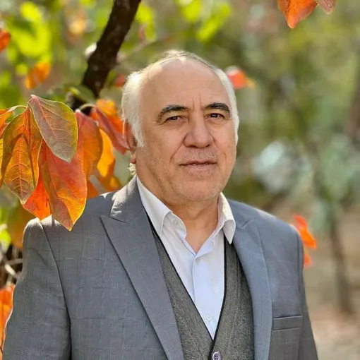 مولوی و هویت ایرانی