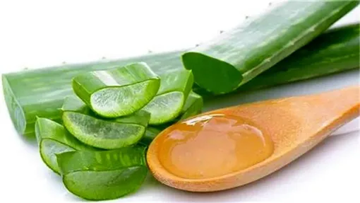 خواص آنتی‌اکسیدانی «آلوئه‌ورا»