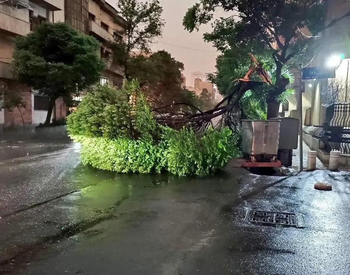 بارش شدید باران فردا سه شنبه 16 اردیبهشت در این مناطق/ خطر تندبادهای لحظه‌ای