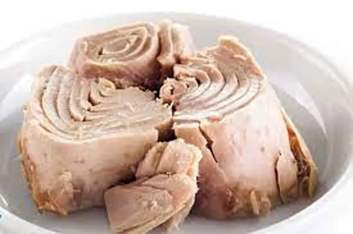 تن ماهی ارزان شد