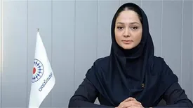 سهم اندک بیمه در پوشش ریسک دست‌سازها