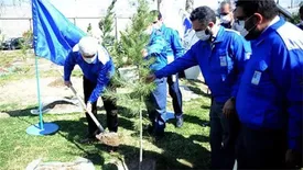 کاشت ۶۰۰ اصله نهال در شرکت ایران خودرو