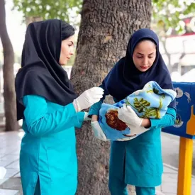 به بیمارستان نرسید؛ کنار خیابان به دنیا آمد